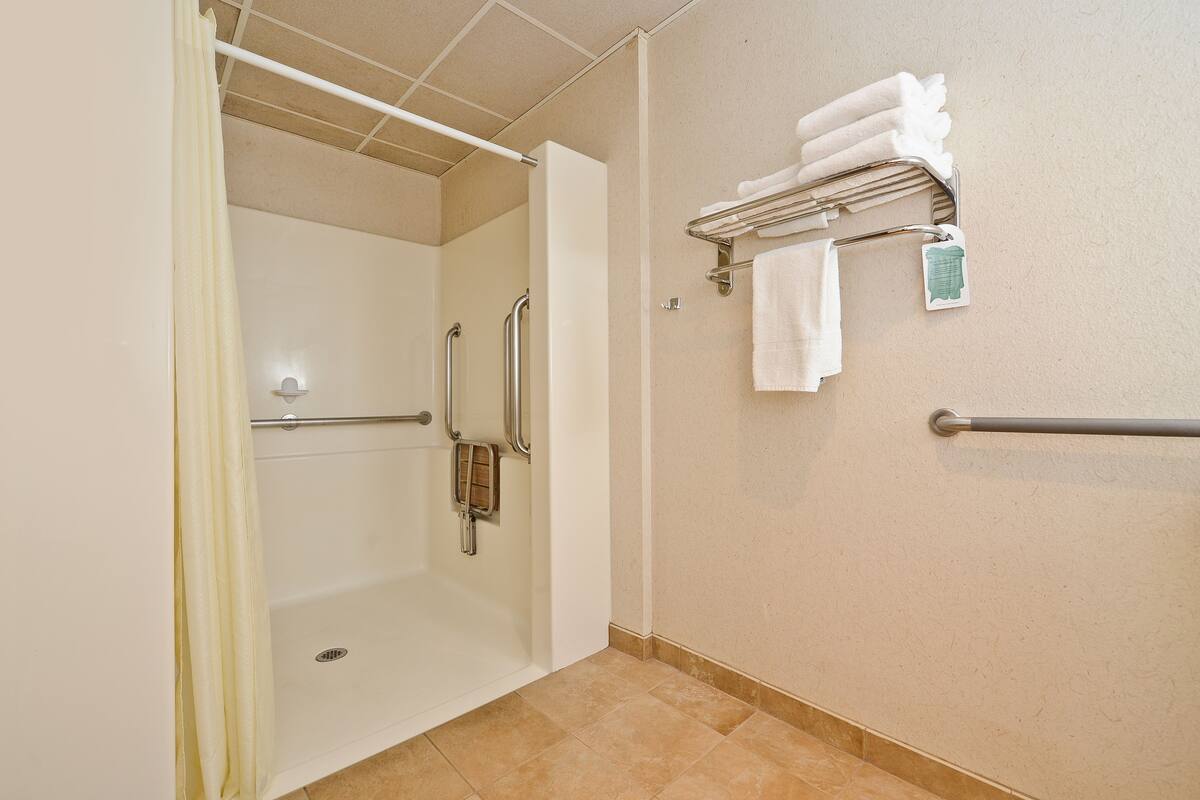 standard room, 1 queen bed, accessible, non smoking (roll-in shower) | bathroom | free toiletries, hair dryer, towels, soap