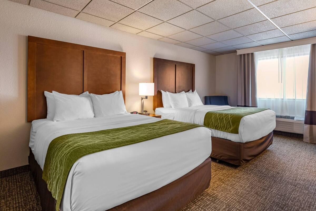 A hotel room with two beds, a nightstand, a lamp, a window with curtains, and a carpeted floor.