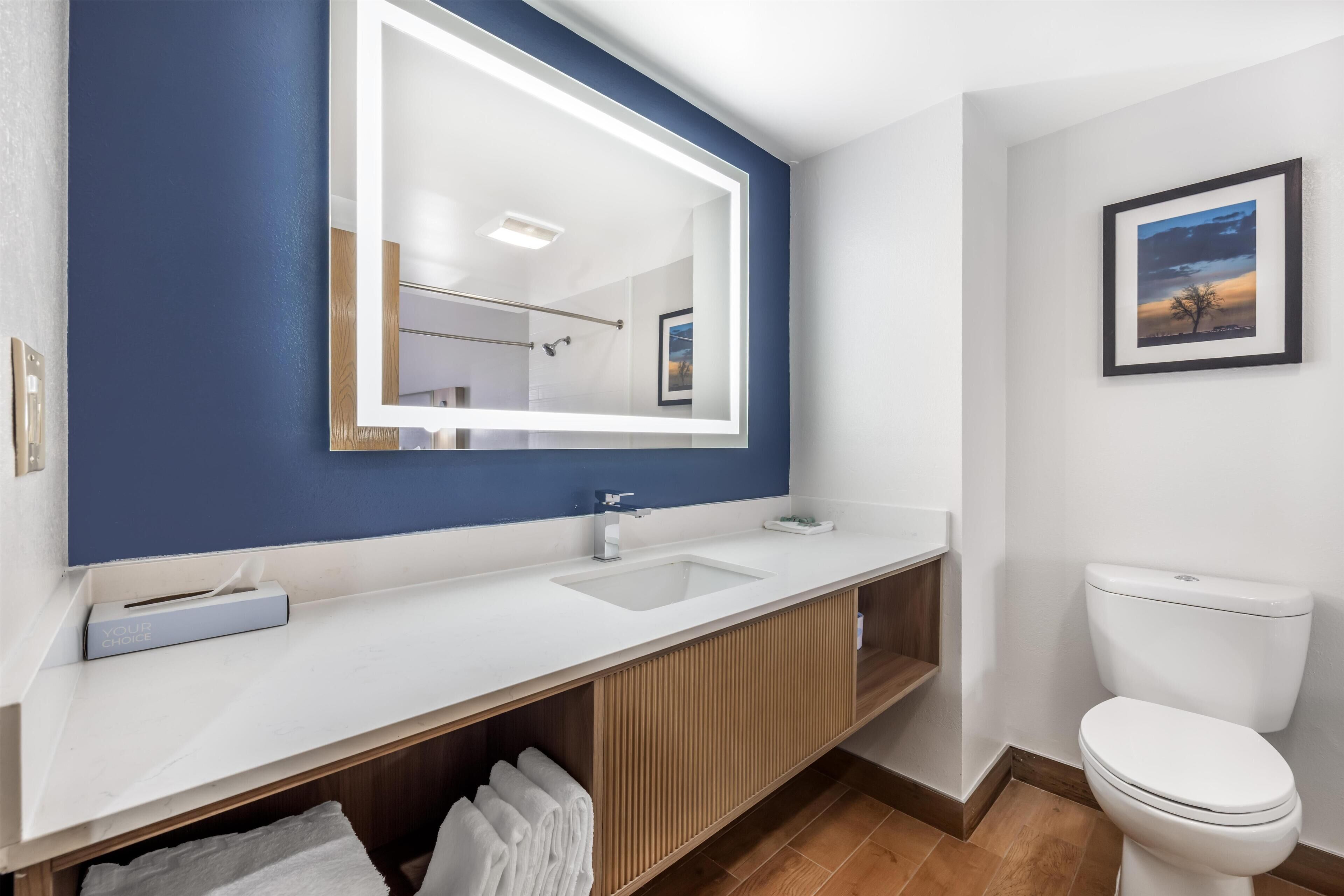 A modern bathroom with a white sink, a large mirror, a framed picture on the wall, and a toilet.