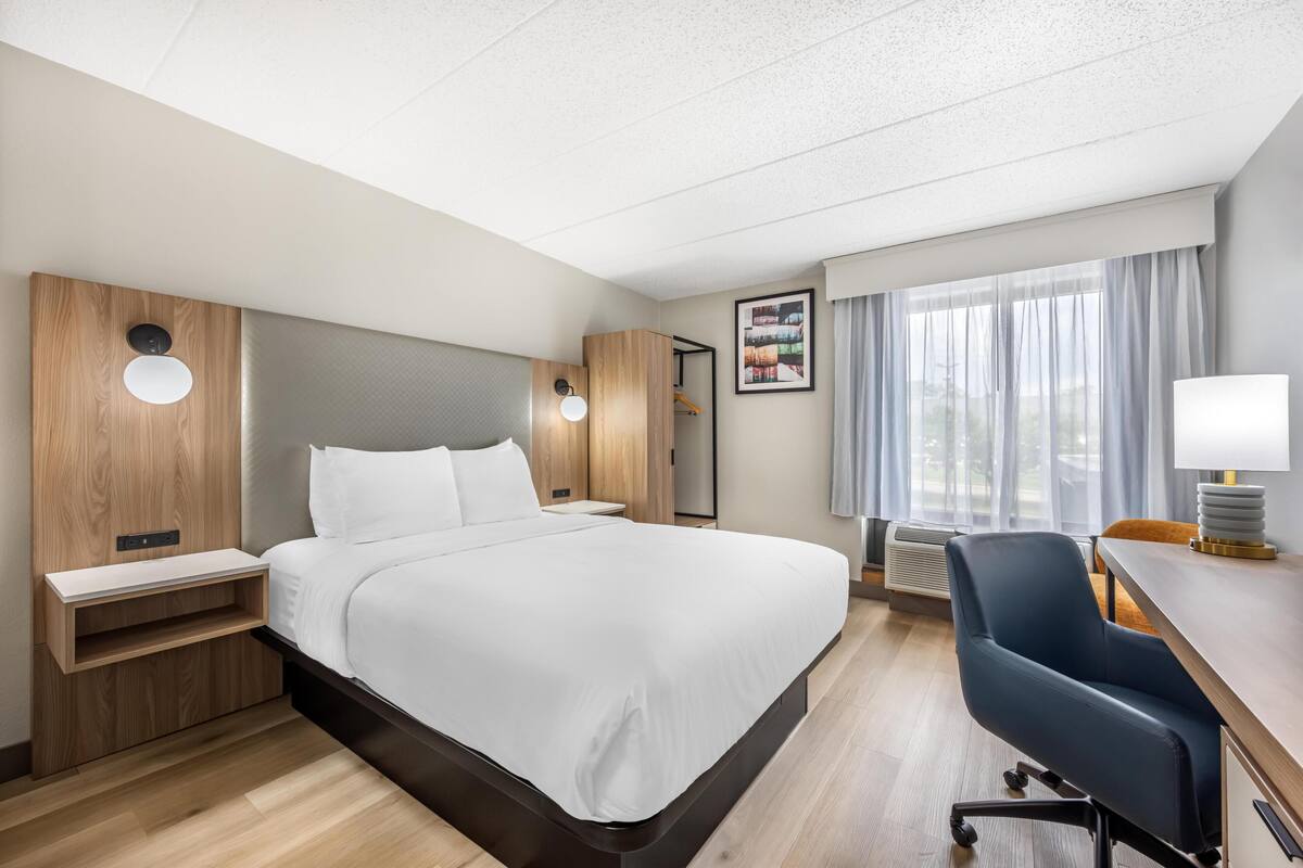 Standard Room, 1 Queen Bed, Non Smoking (Small Room) | Egyptian cotton sheets, premium bedding, down comforters, pillowtop beds