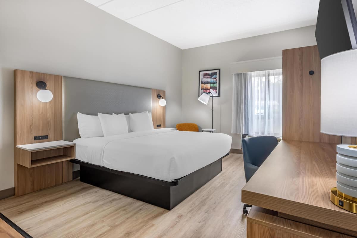 Standard Room, 1 King Bed, Non Smoking, Jetted Tub | Egyptian cotton sheets, premium bedding, down comforters, pillowtop beds