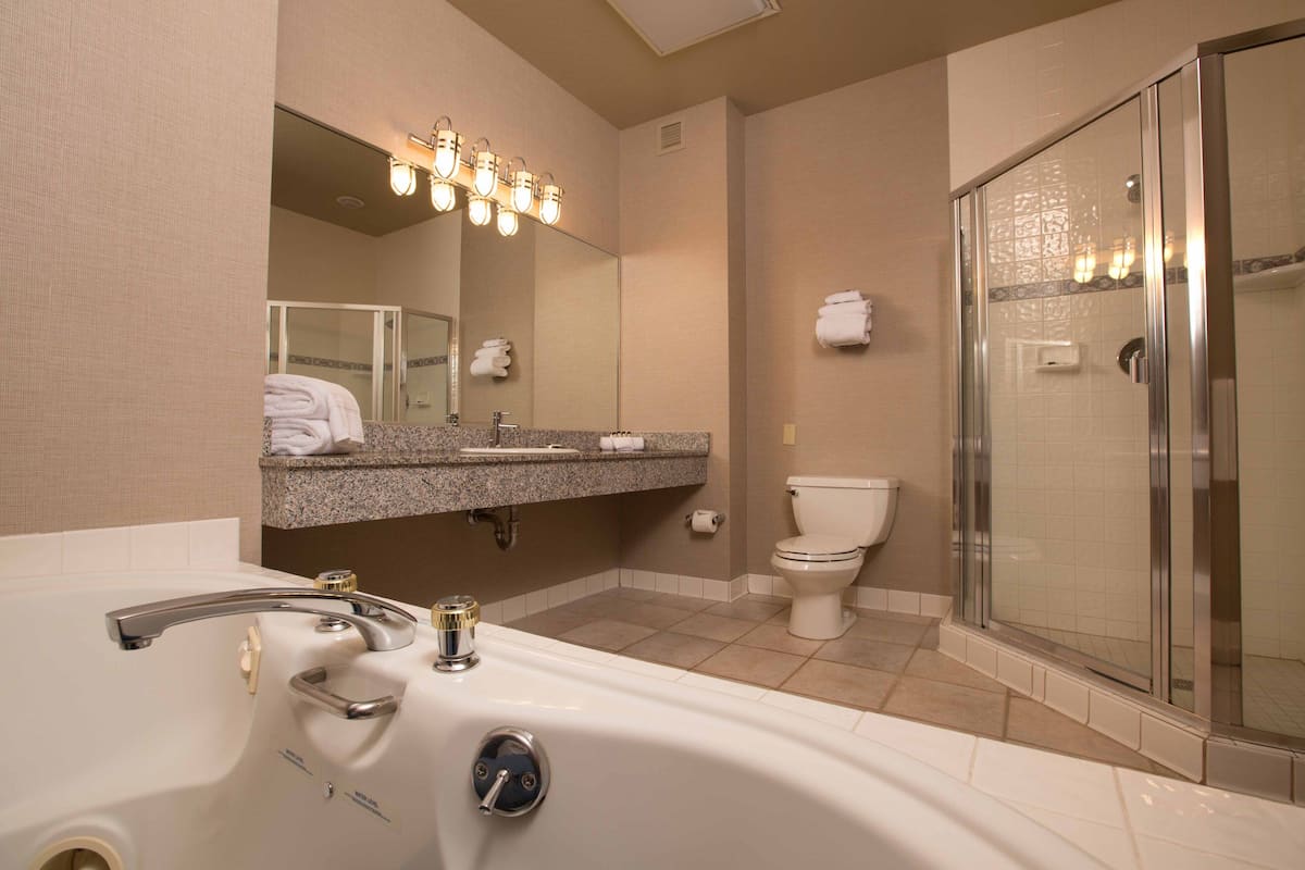 designer toiletries, hair dryer, towels