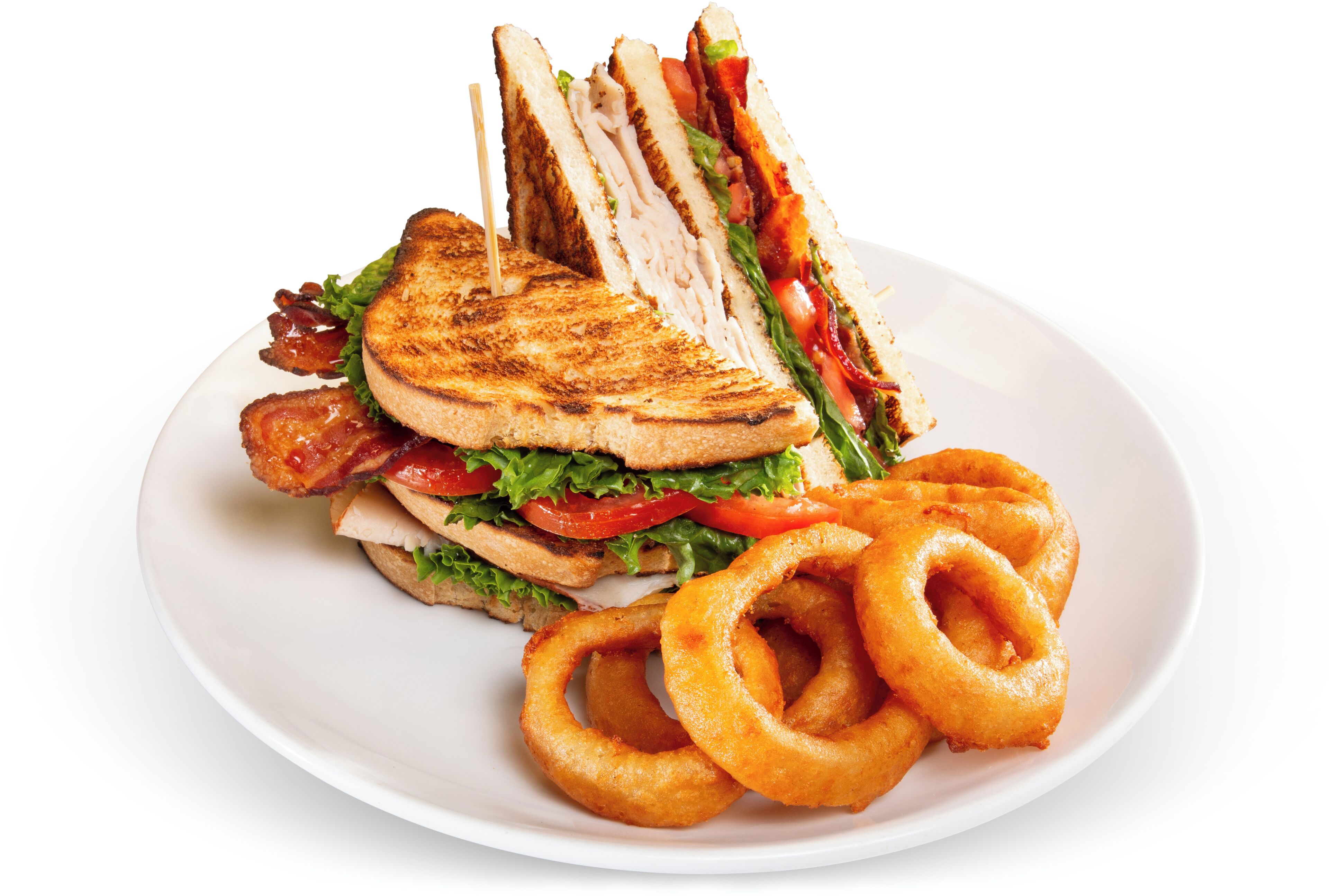 A plate with a grilled sandwich and onion rings.