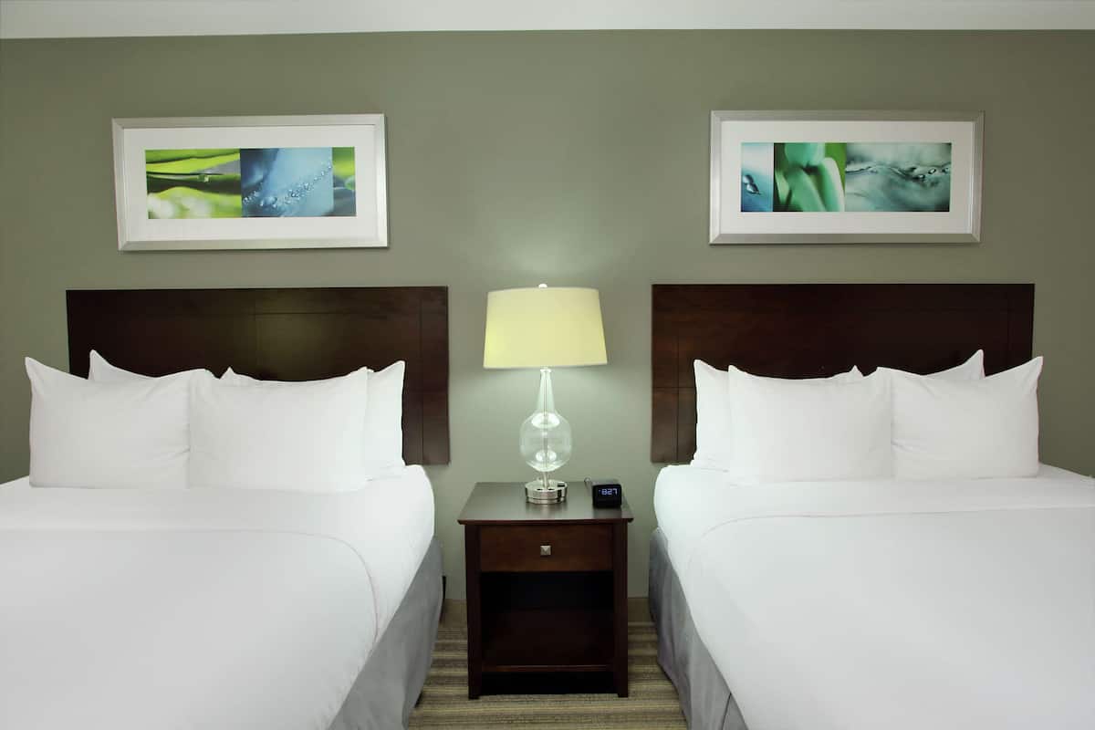 Habitación de hotel con dos camas, una mesita de noche con lámpara y dos cuadros en la pared.