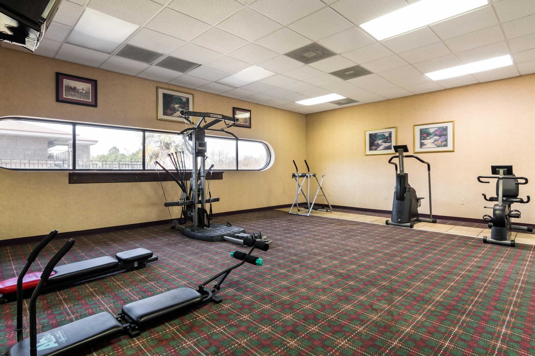 A gym with treadmills, elliptical machines, and weight equipment.