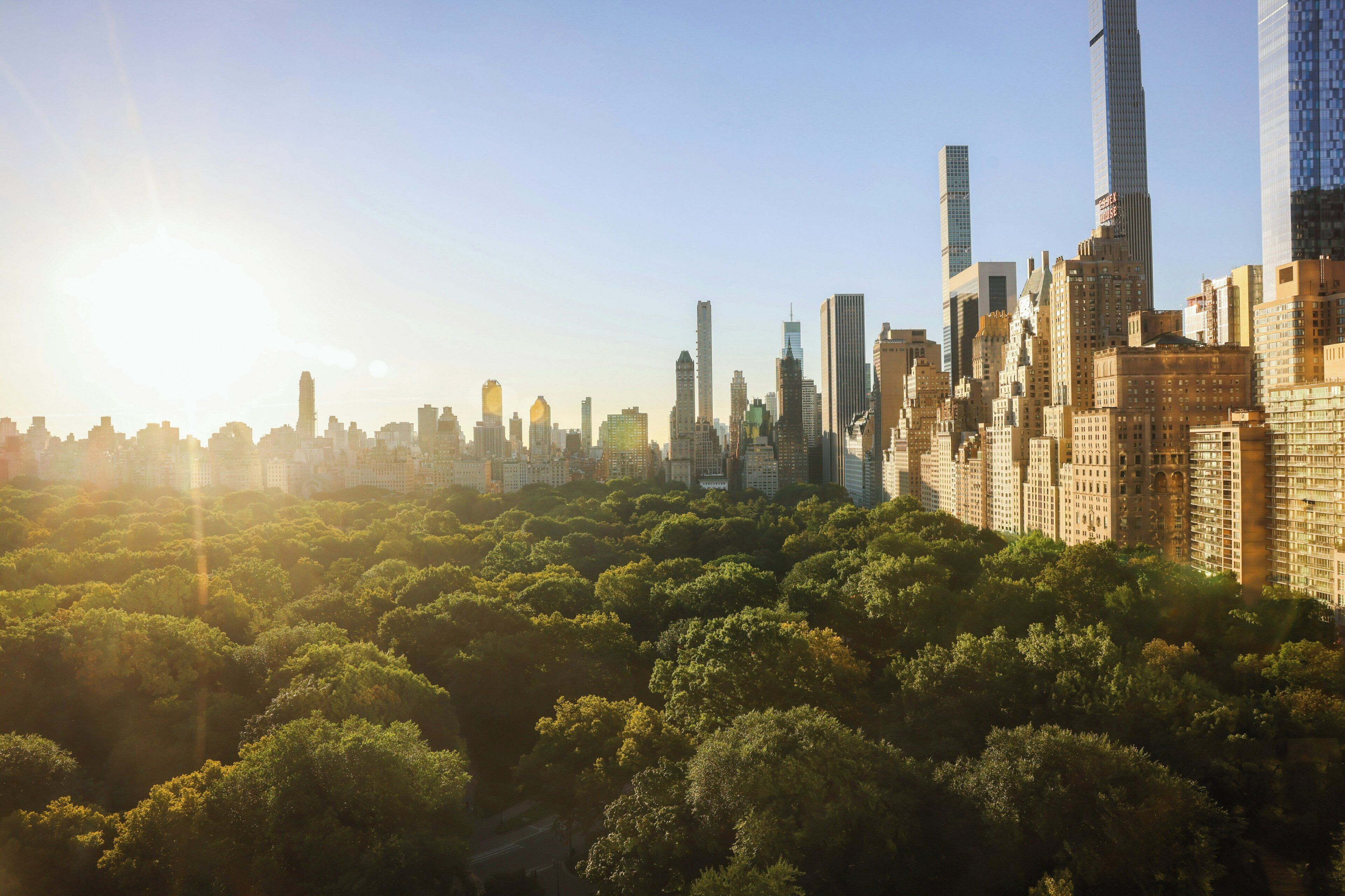 A city skyline with high-rise buildings and a dense forest in the foreground.