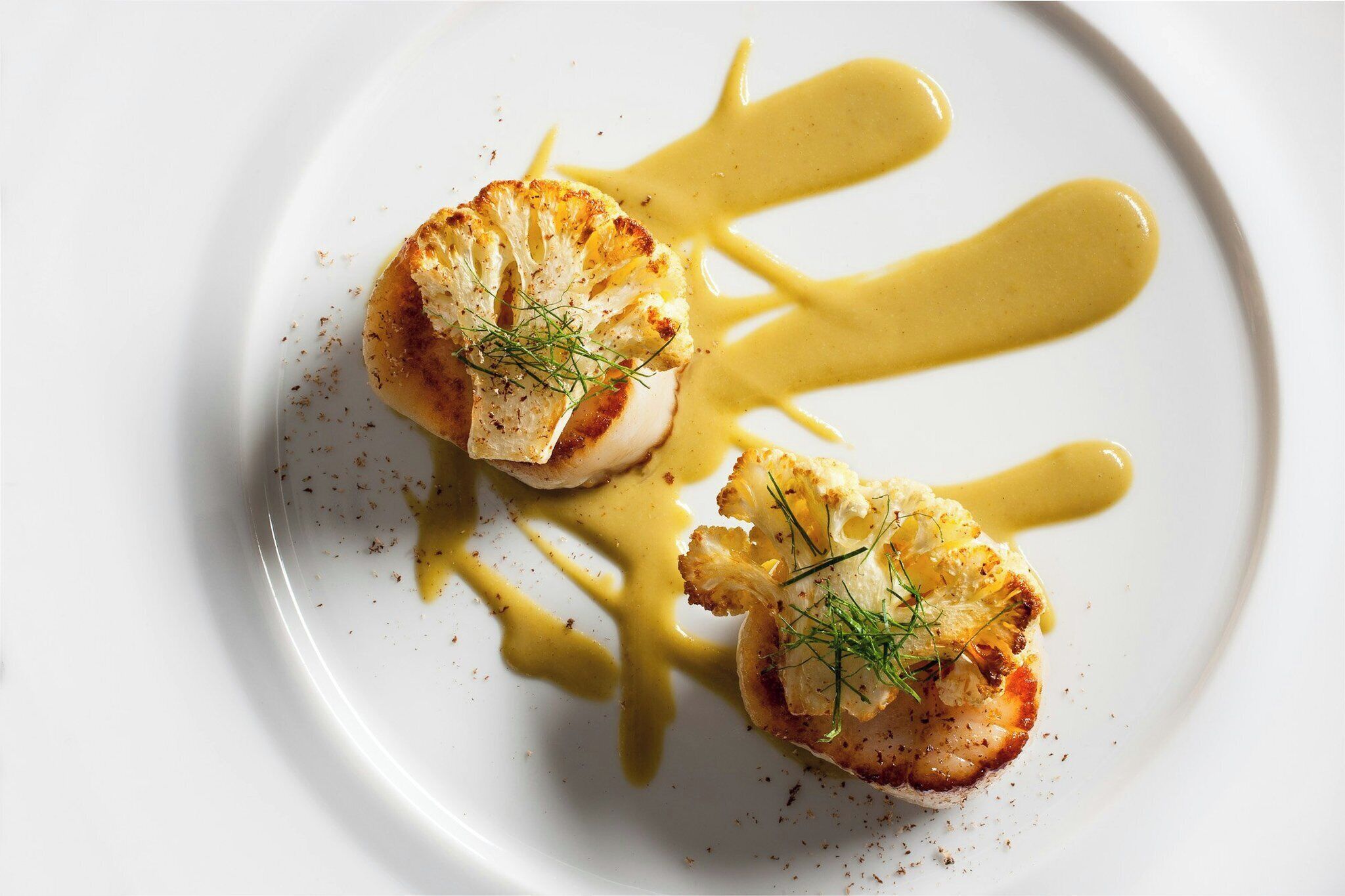 A white plate with two scallops and a yellow sauce.