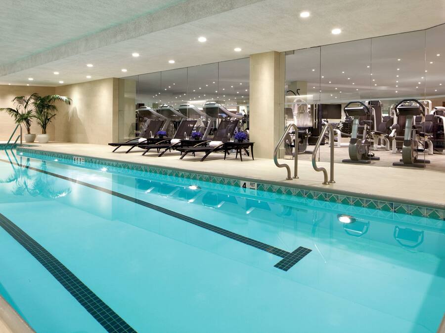 Indoor pool, sun loungers