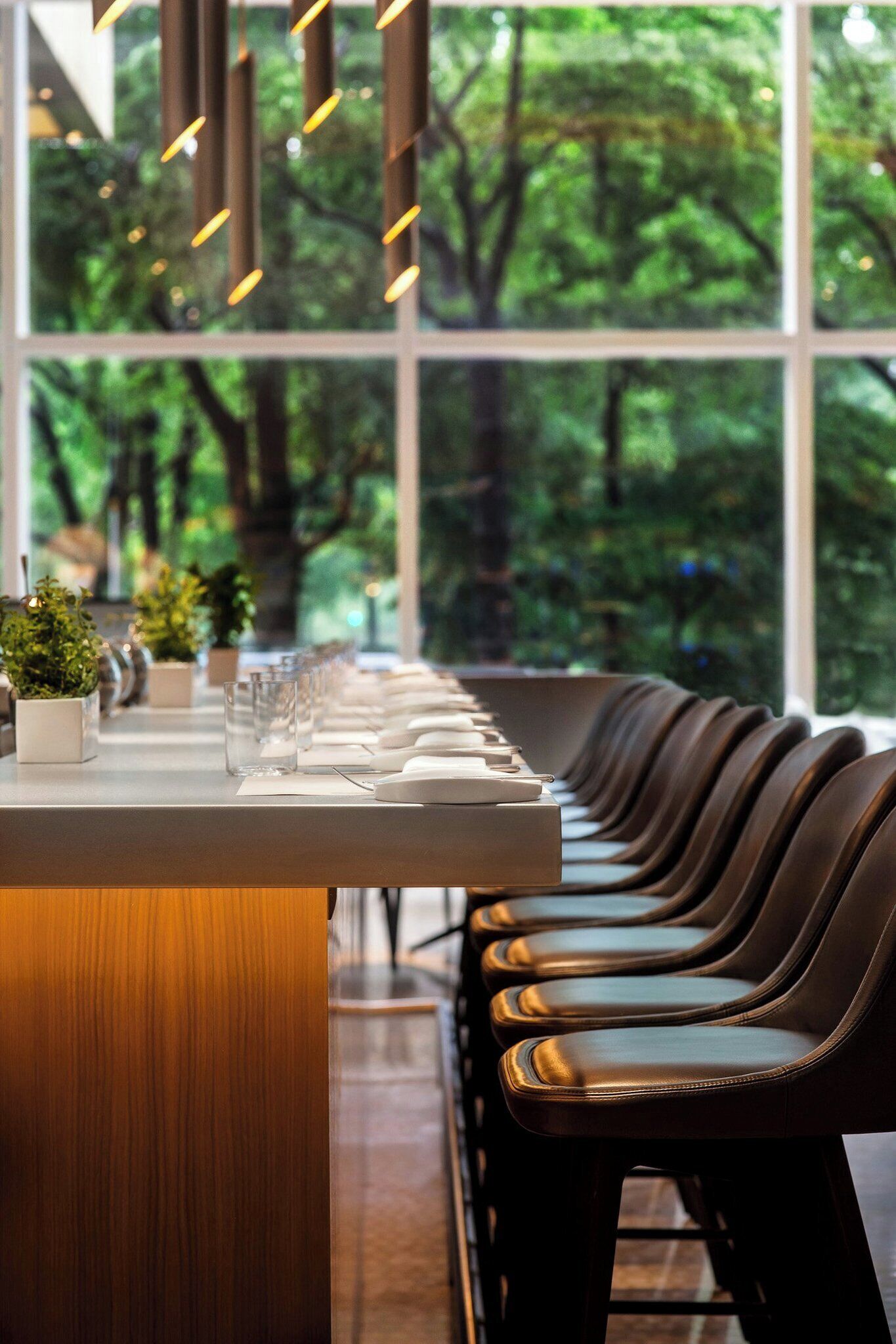 A restaurant with a long counter and leather chairs, large windows with a view of trees, and pendant lighting.