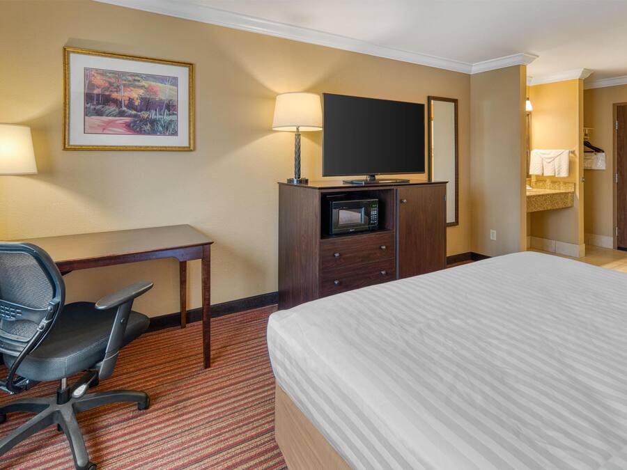 Hotelkamer met een bed, bureau, bureaustoel, televisie, magnetron en een badkamer met handdoekhouder.