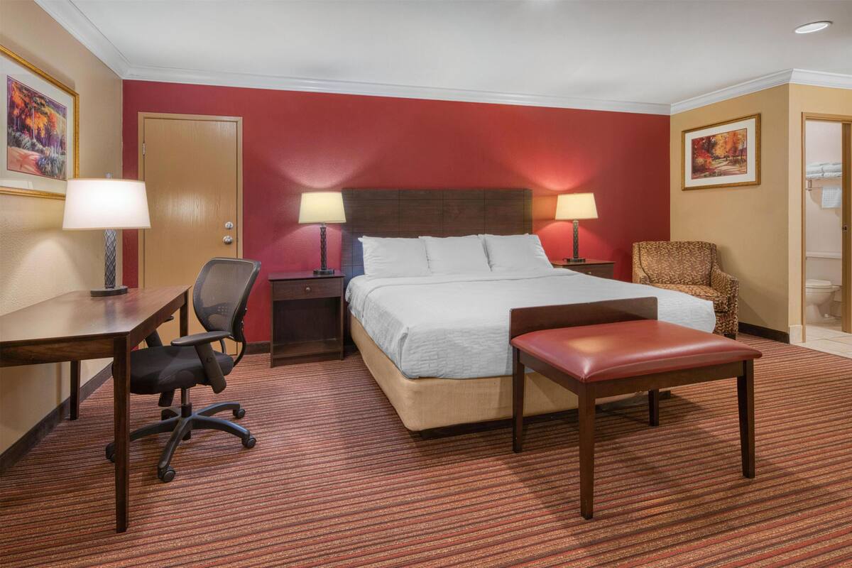 A hotel room with a bed, two bedside lamps, a desk with a chair, a wooden bench, and a carpeted floor.