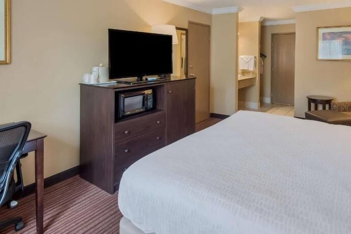 A hotel room with a bed, a TV, a desk, a chair, a microwave, and a bathroom.