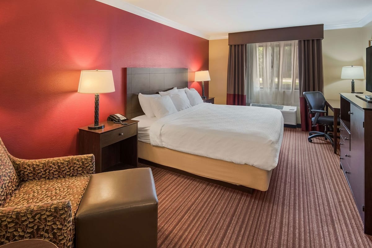 A hotel room with a bed, a desk, a chair, a nightstand, and a lamp.