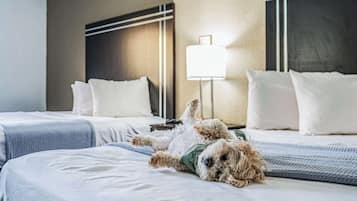 Zimmer, 2 Queen-Betten, Nichtraucher (Pet Friendly) | Schreibtisch, laptopgeeigneter Arbeitsplatz, Verdunkelungsvorhänge