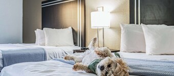 Econo Lodge Cleveland Southeast - Kent