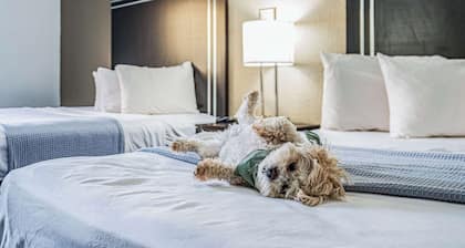 Econo Lodge Cleveland Southeast - Kent