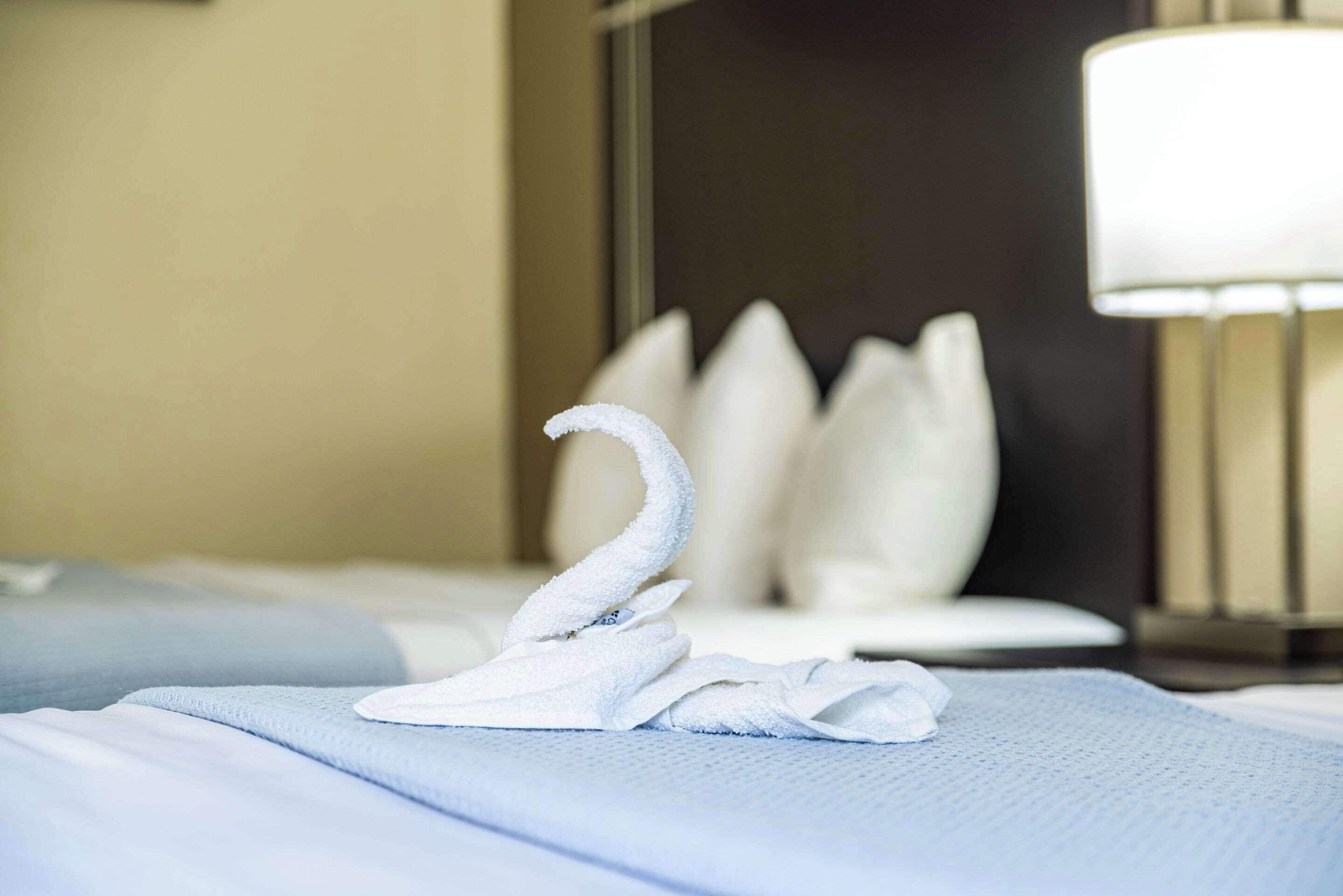 A neatly made bed with a folded towel and pillows in the background.