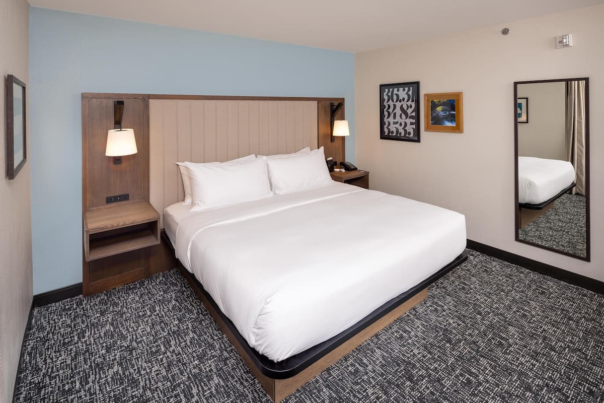 A hotel room with a large bed, two bedside tables, a nightstand, a wall-mounted lamp, a mirror, and a framed picture.