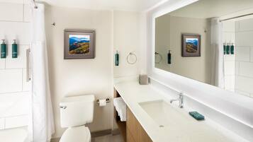 Un bagno moderno con servizi igienici, lavandino e doccia. Alle pareti sono presenti quadri incorniciati, un porta asciugamani e articoli da toilette sul lavandino.
