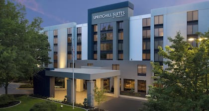 SpringHill Suites by Marriott Atlanta Perimeter Center