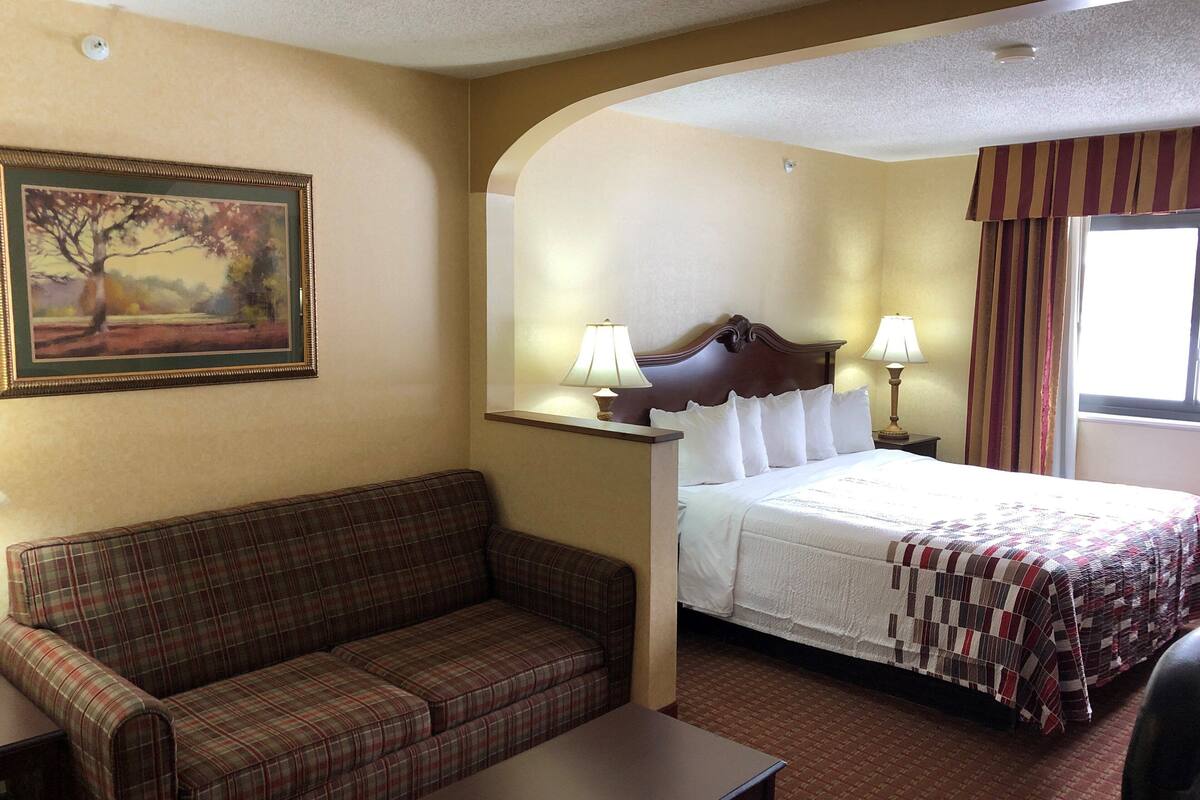 A hotel room with a bed, a sofa, a nightstand, a lamp, and a painting on the wall.