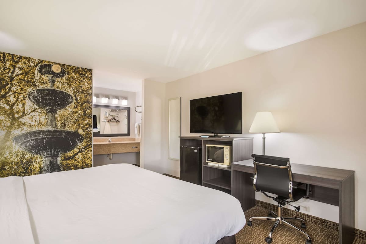 A hotel room with a bed, a desk with a chair, a television, a microwave, and a mirror.