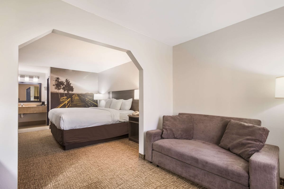 A hotel room with a bed, a couch, a nightstand, and a painting on the wall.