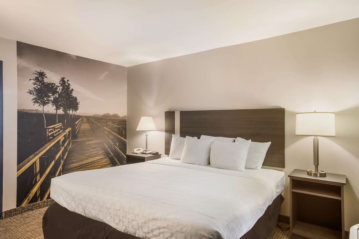 A hotel room with a large bed, two bedside tables with lamps, a headboard, and a mural of a wooden bridge.
