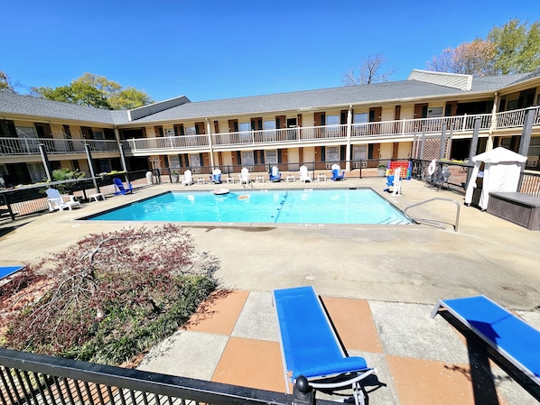 Seasonal outdoor pool, pool umbrellas, pool loungers