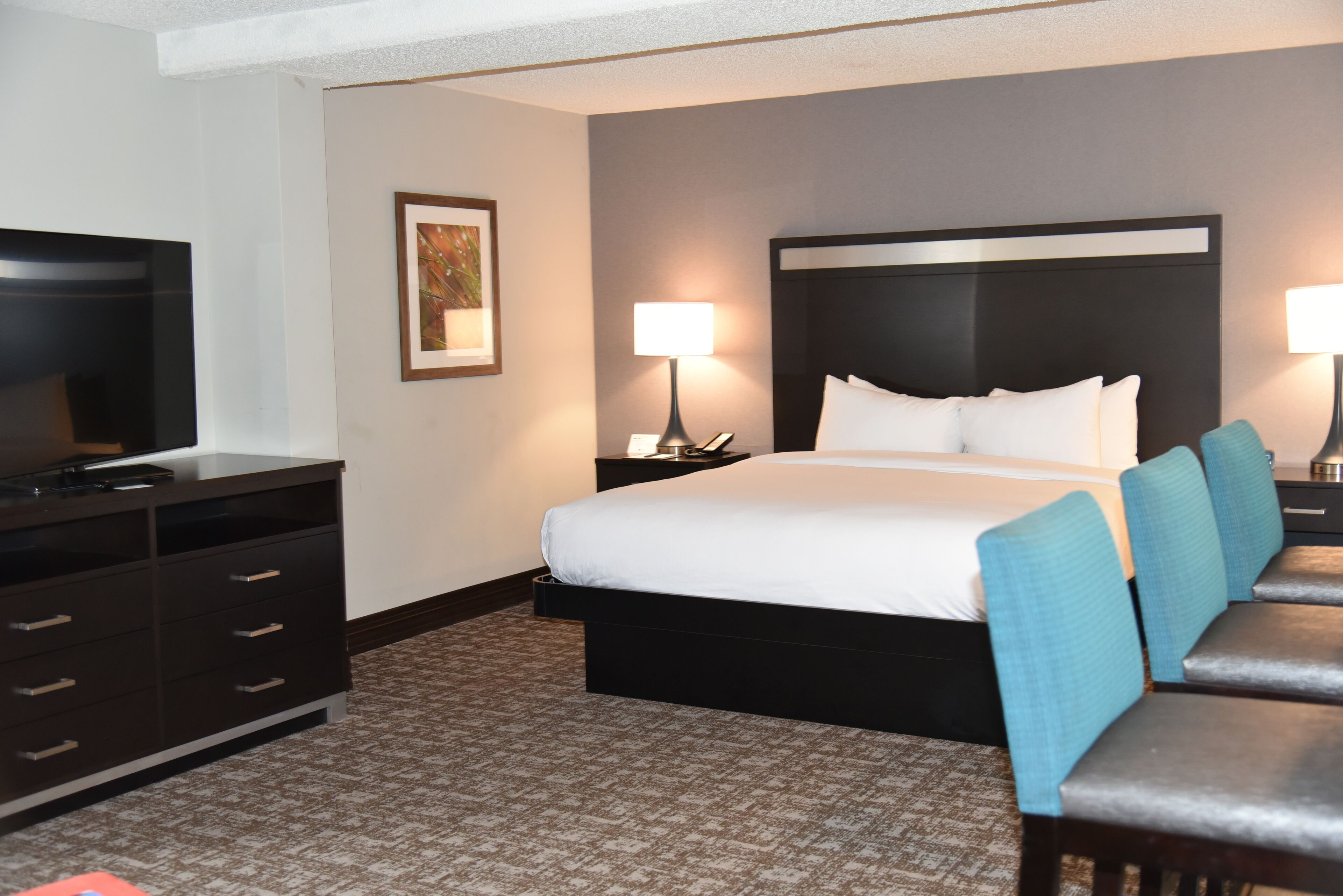 junior suite, 1 king bed, refrigerator & microwave | egyptian cotton sheets, premium bedding, down duvets, pillow-top beds