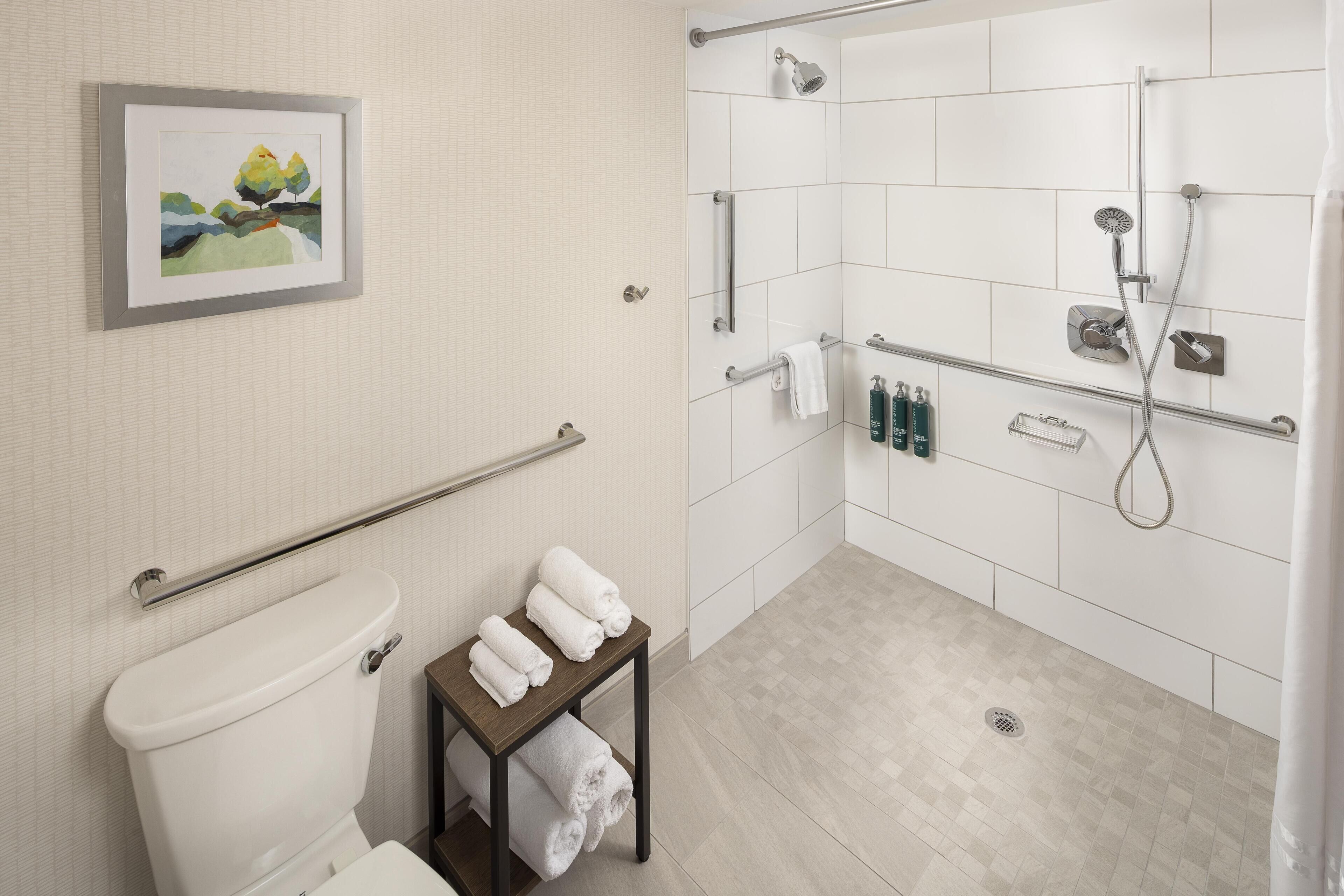 Un baño moderno con inodoro, ducha con barras de apoyo, toallero y un cuadro en la pared.
