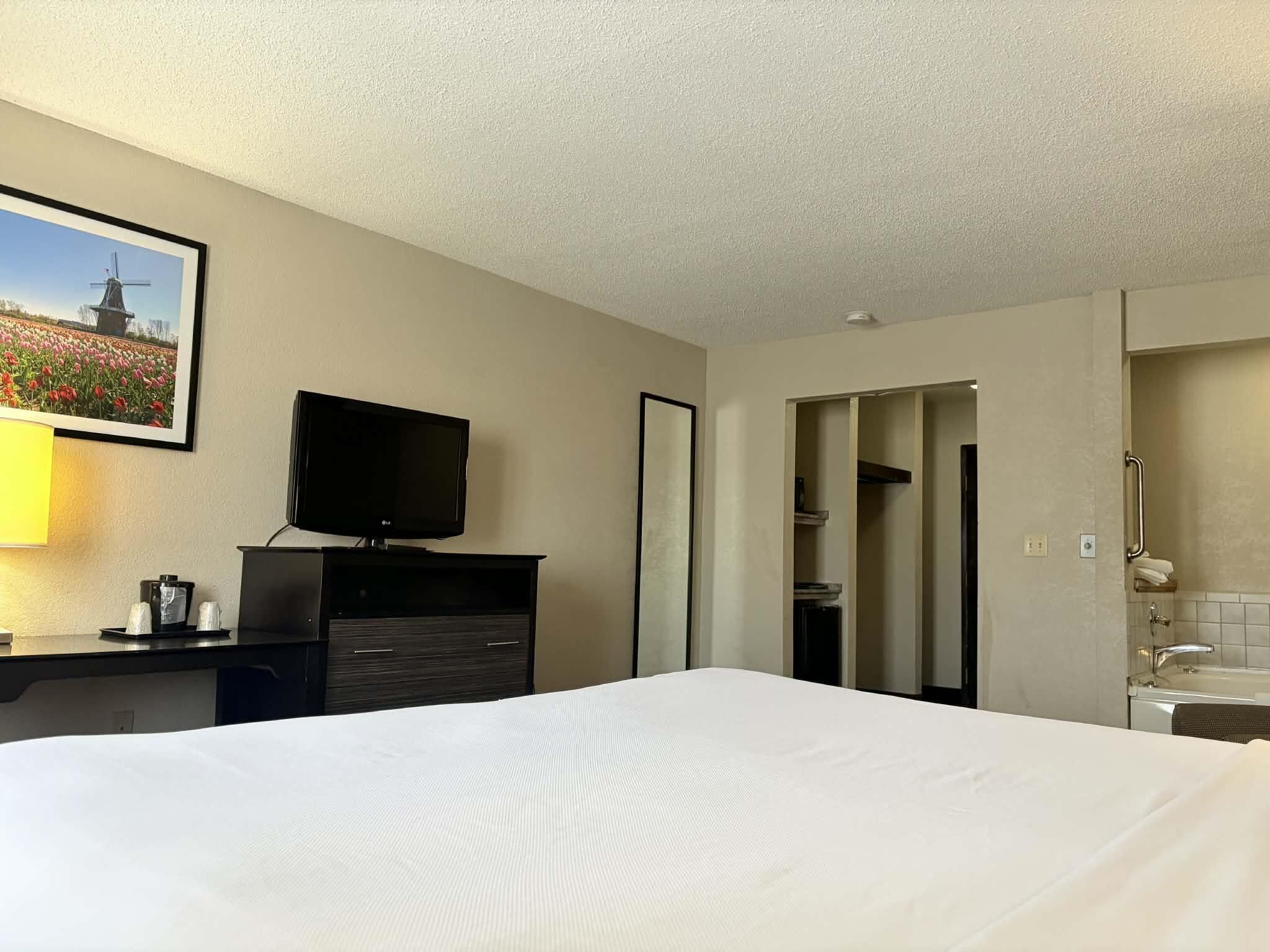 Deluxe kamer, 1 kingsize bed, niet-roken | Een strijkplank/strijkijzer, beddengoed