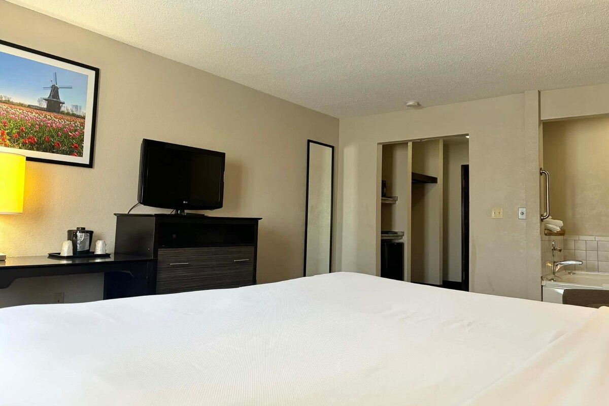A hotel room with a bed, a TV, a desk with a lamp, and a bathroom with a shower.