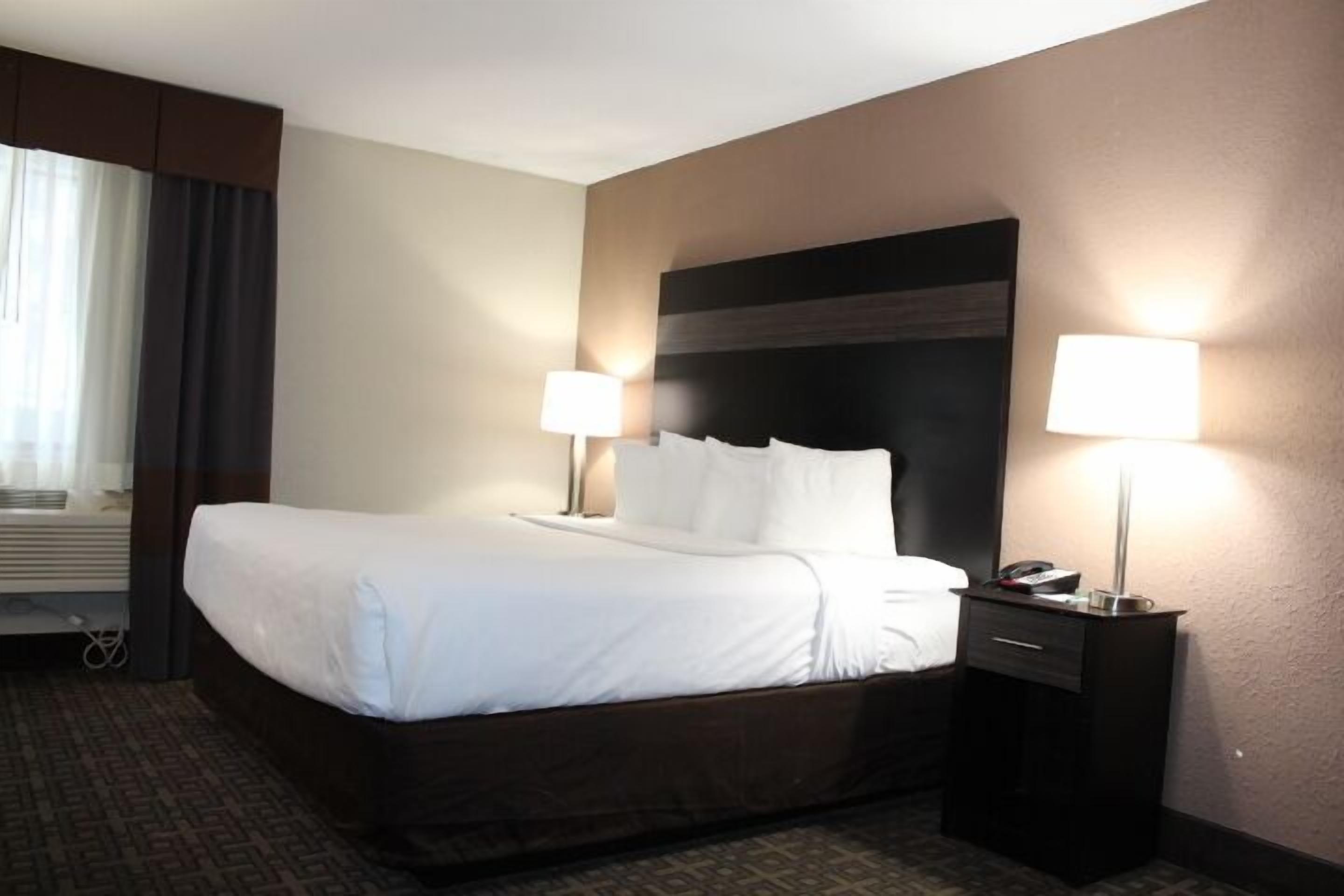 Deluxe Room, 1 King Bed, Non Smoking | Hypo-allergenic bedding, iron/ironing board, free cribs/infant beds