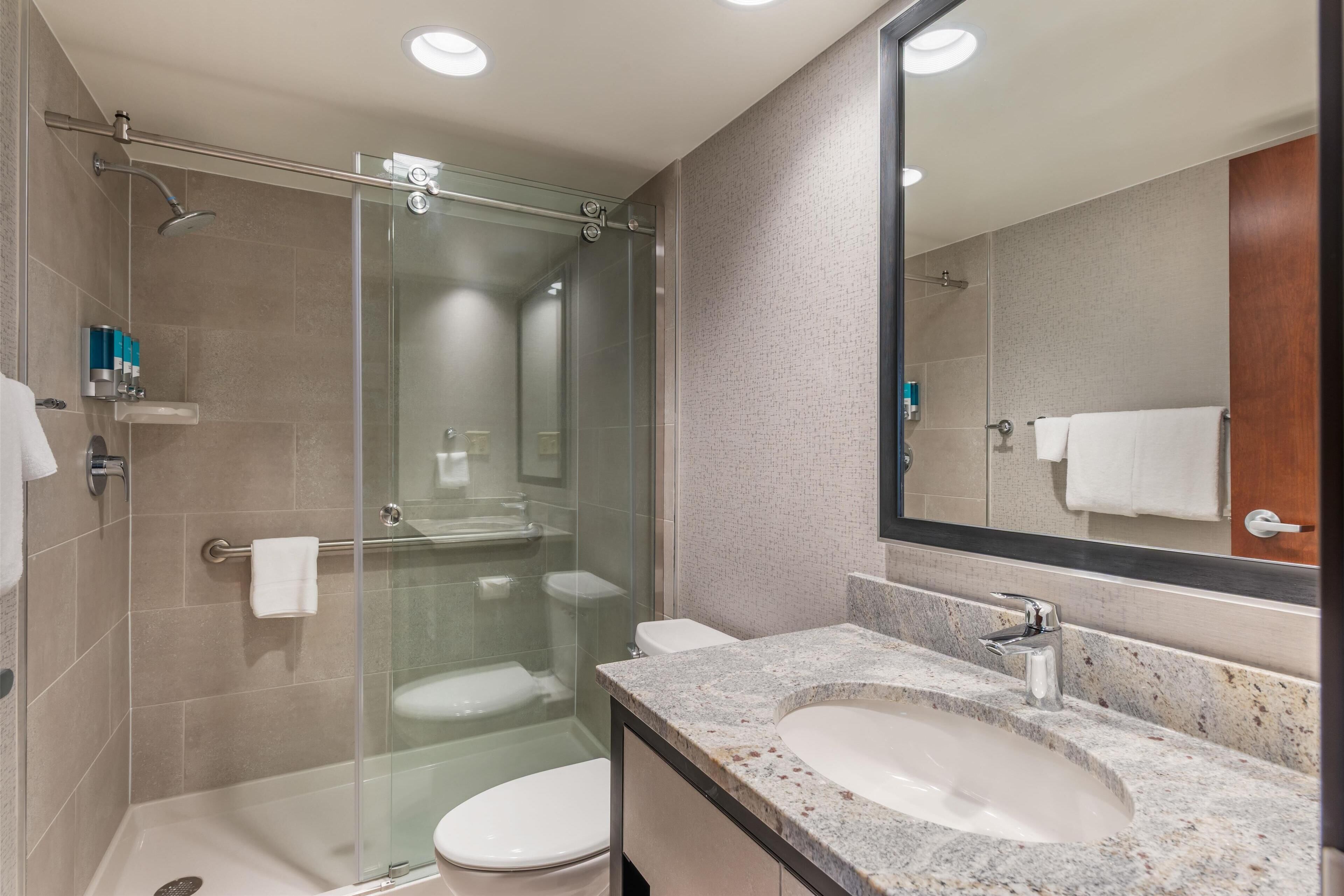 deluxe room, 1 king bed with sofa bed, refrigerator & microwave | bathroom | free toiletries, hair dryer, towels