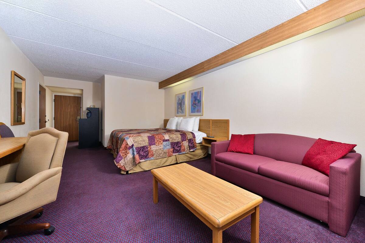 A hotel room with a bed, a sofa, a desk, and a chair.