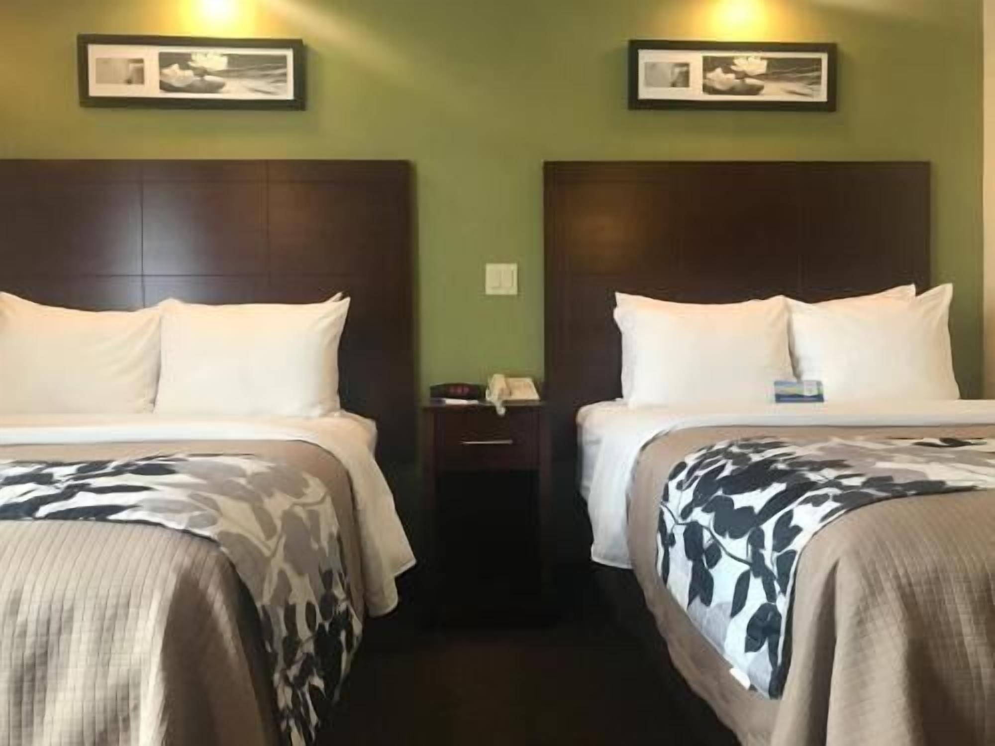 Down comforters, desk, laptop workspace, blackout drapes