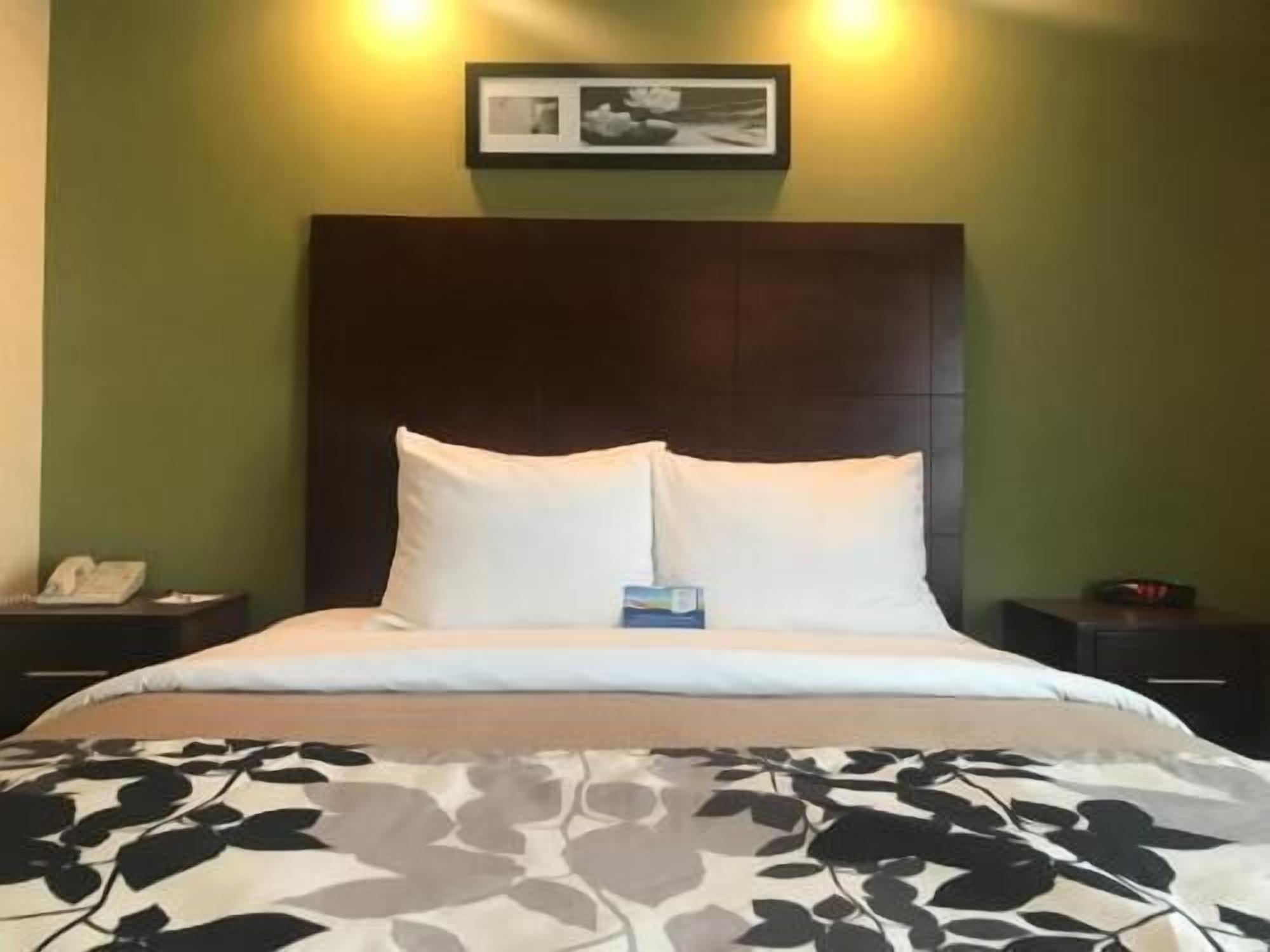 Down comforters, desk, laptop workspace, blackout drapes