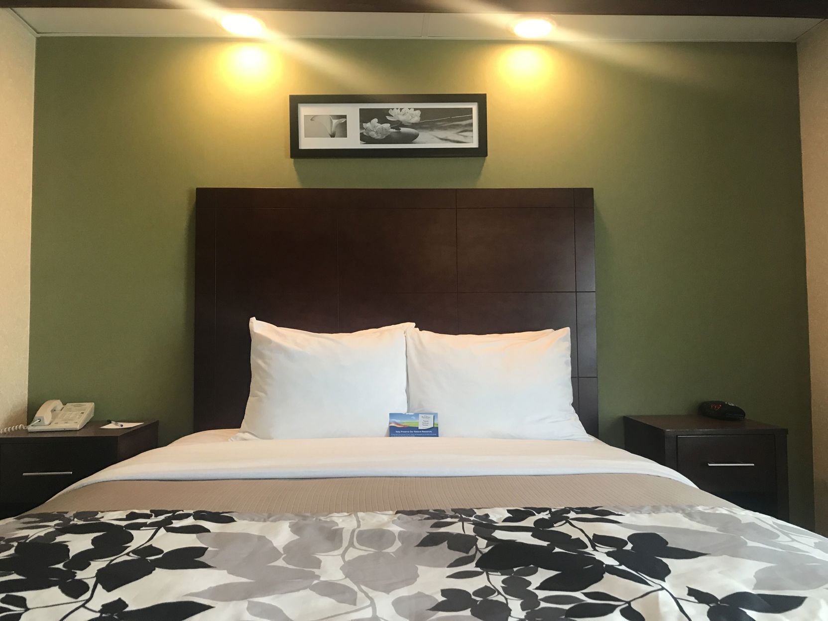 Down comforters, desk, laptop workspace, blackout drapes