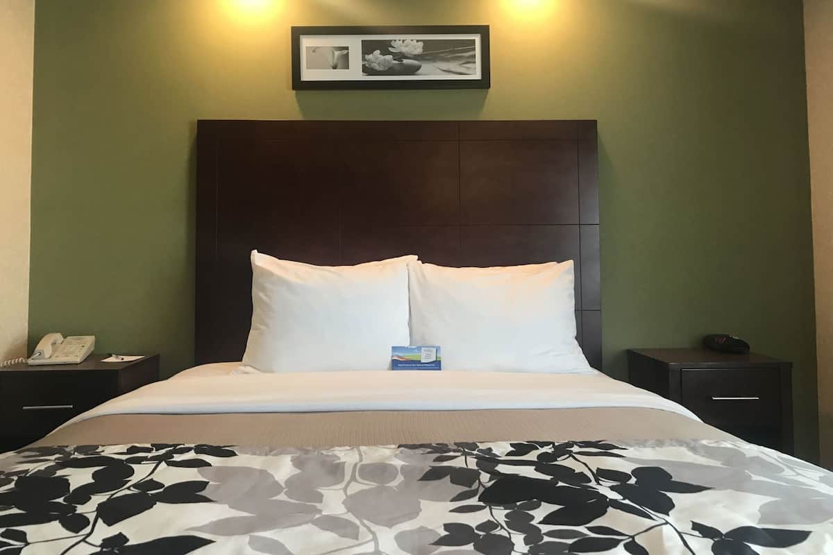 Quarto de hotel com uma cama, mesa de cabeceira com telefone, quadro pendurado na parede e mesa de apoio com abajur.