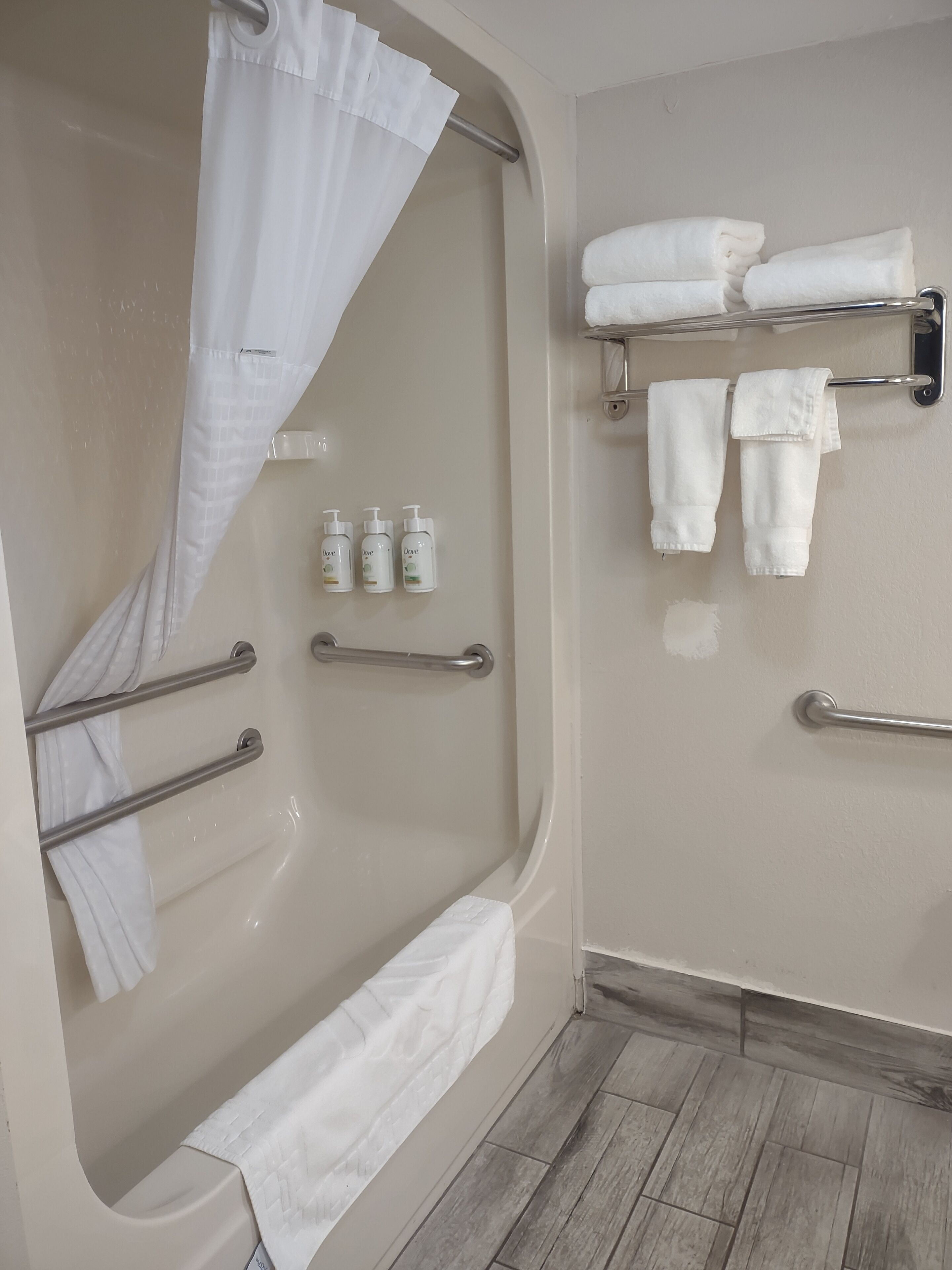 Room, 1 Queen Bed, Accessible, Non Smoking | Bathroom | Shower, free toiletries, hair dryer, towels