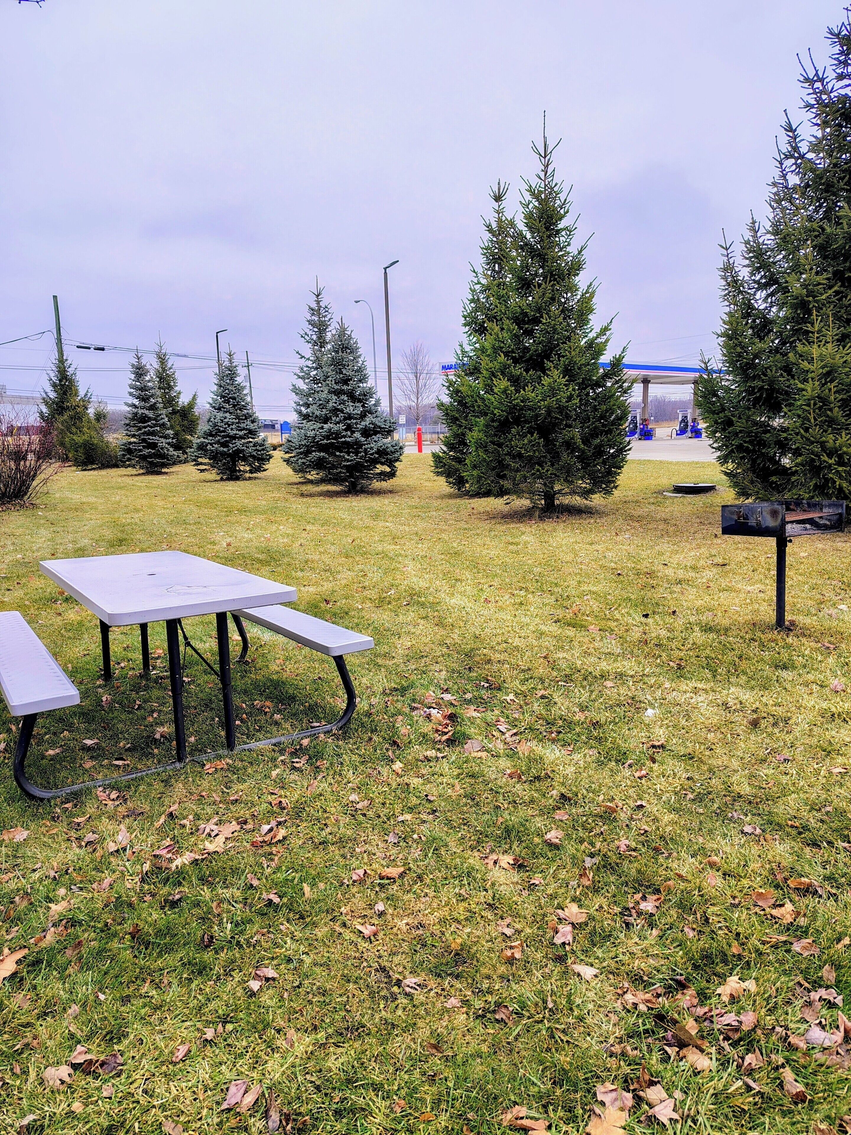 A picnic table and bench in a grassy area with trees and a gas station in the background.