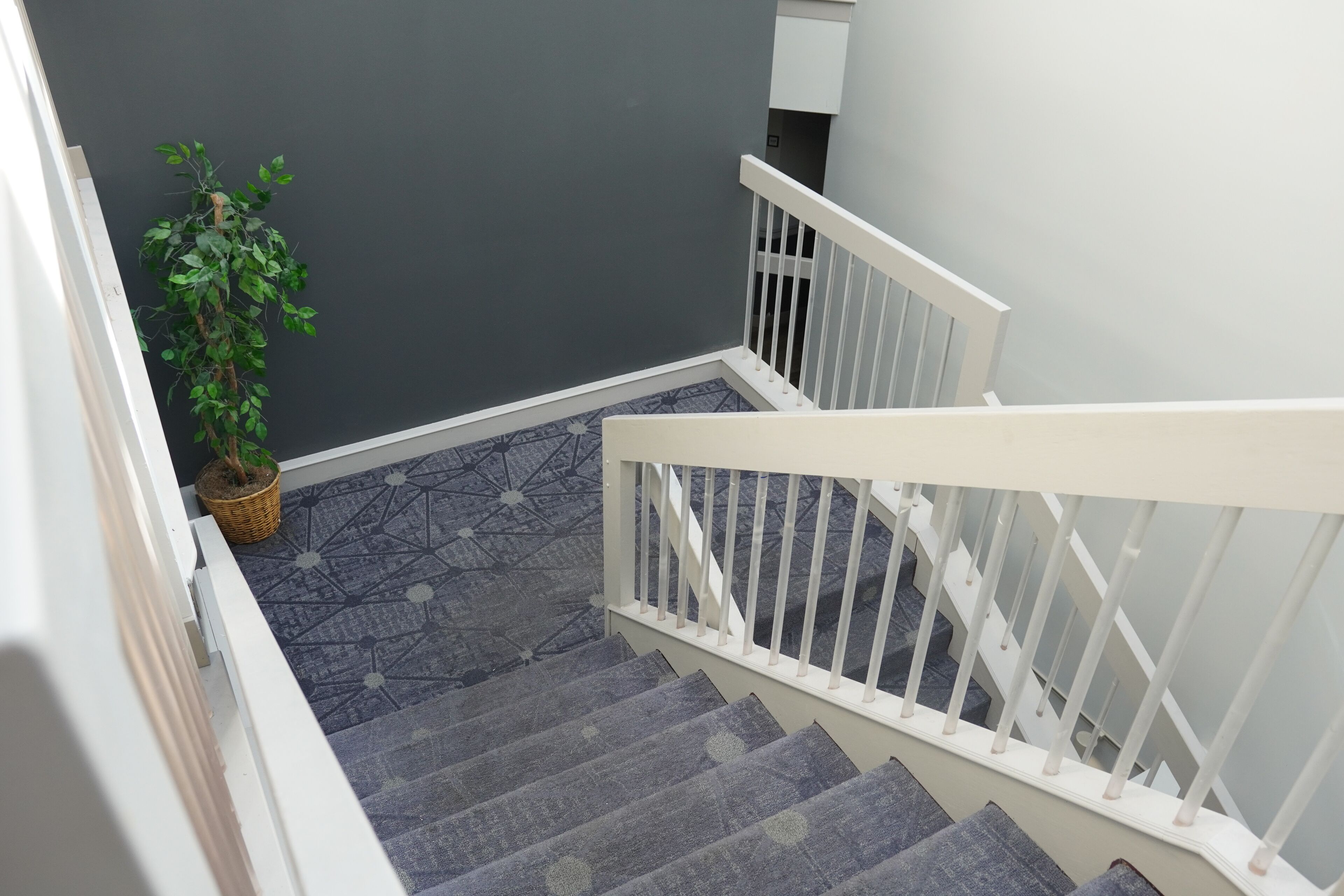 Una escalera con barandilla blanca y una planta en maceta a un lado.