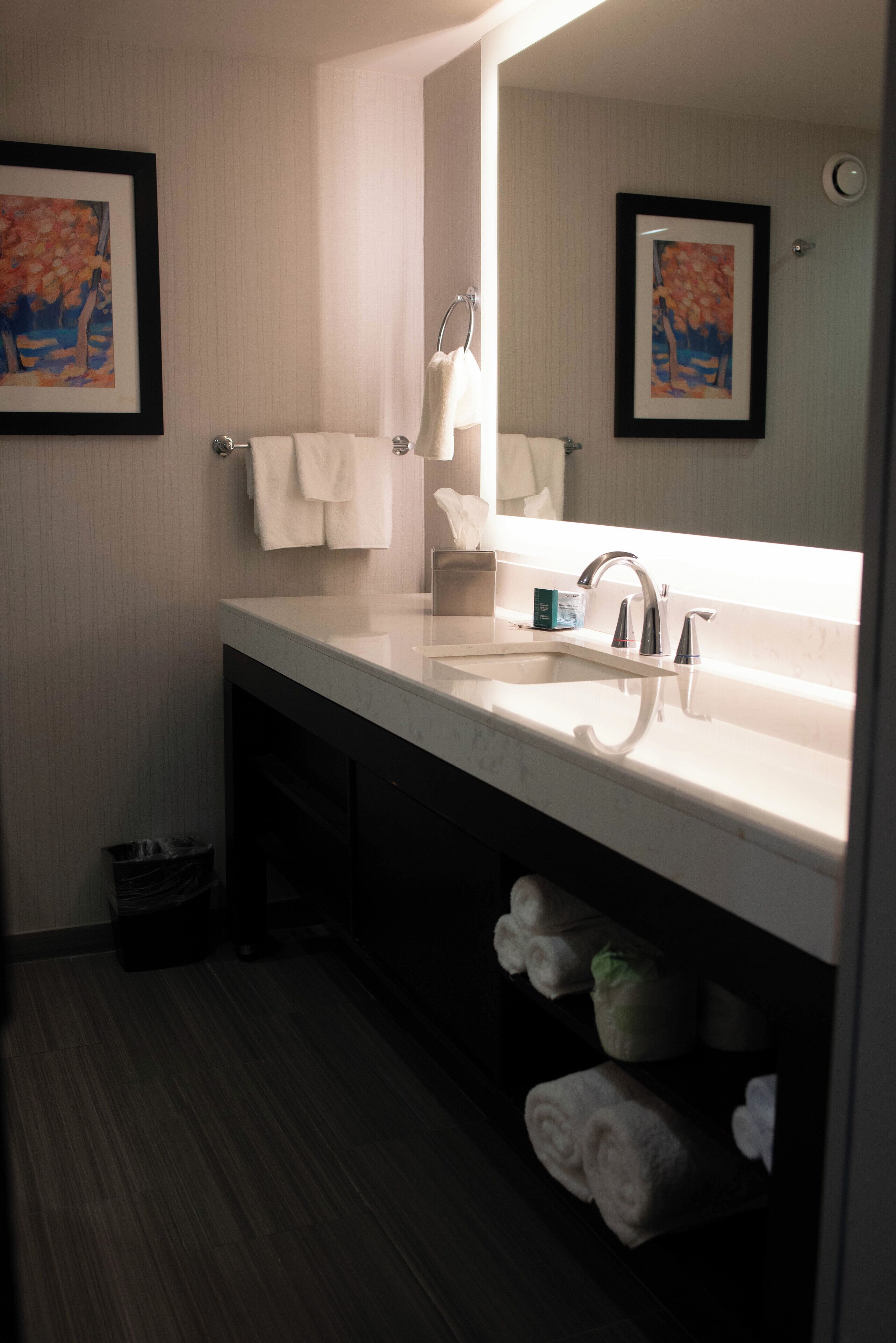 junior suite, 1 king bed with sofa bed | bathroom | free toiletries, hair dryer, towels