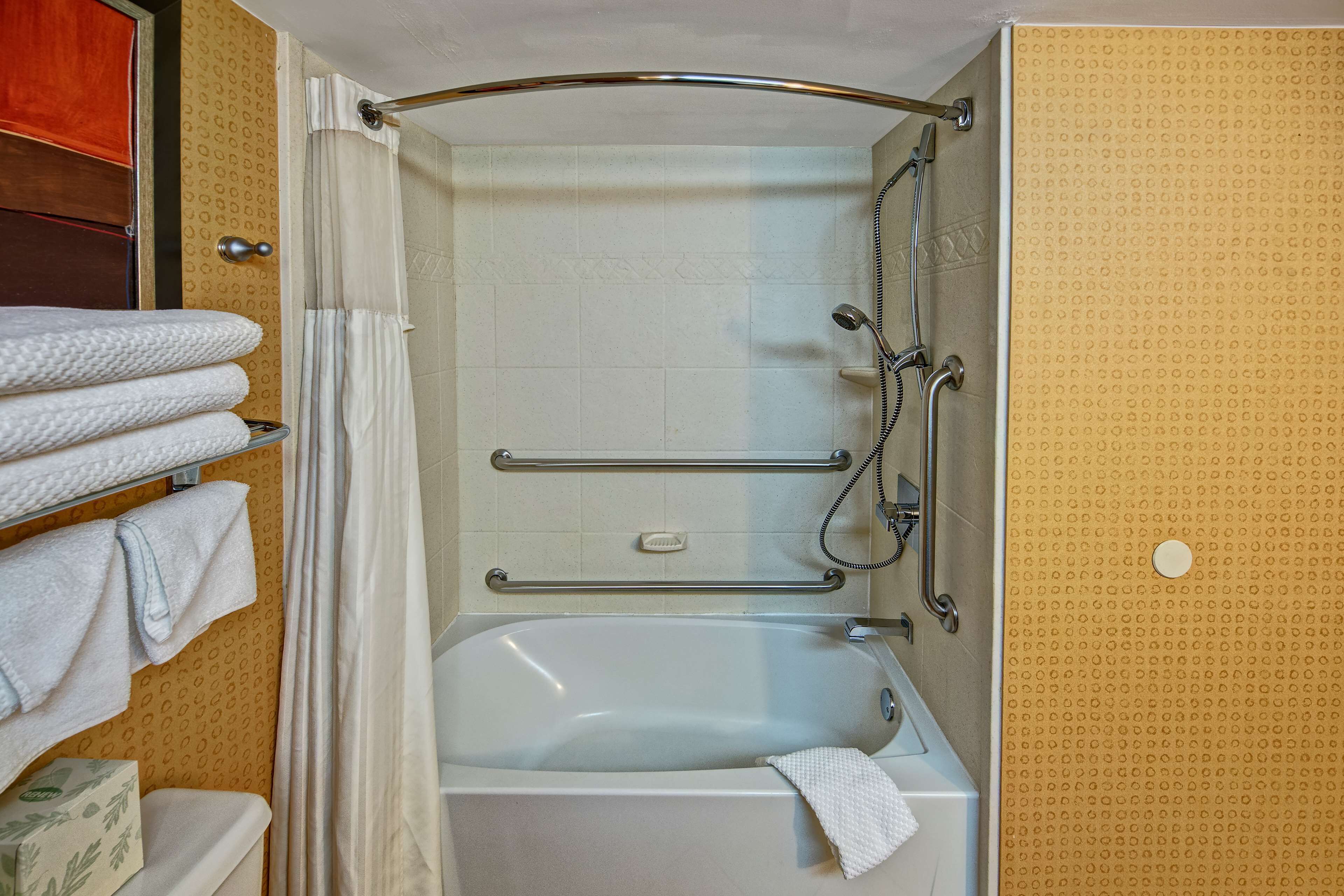 room, 1 king bed, accessible, bathtub (mobility) | bathroom | free toiletries, hair dryer, towels