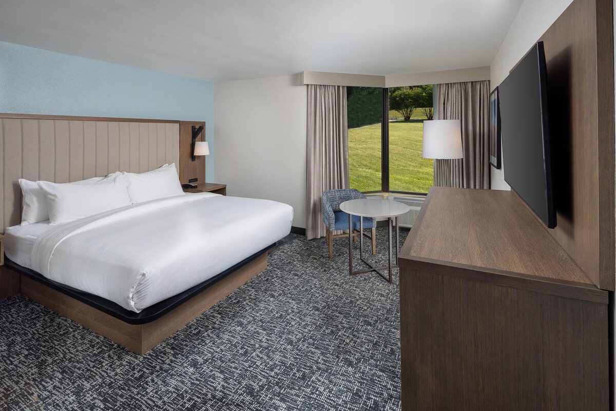 A hotel room with a bed, a desk, a TV, and a view of the outdoors.