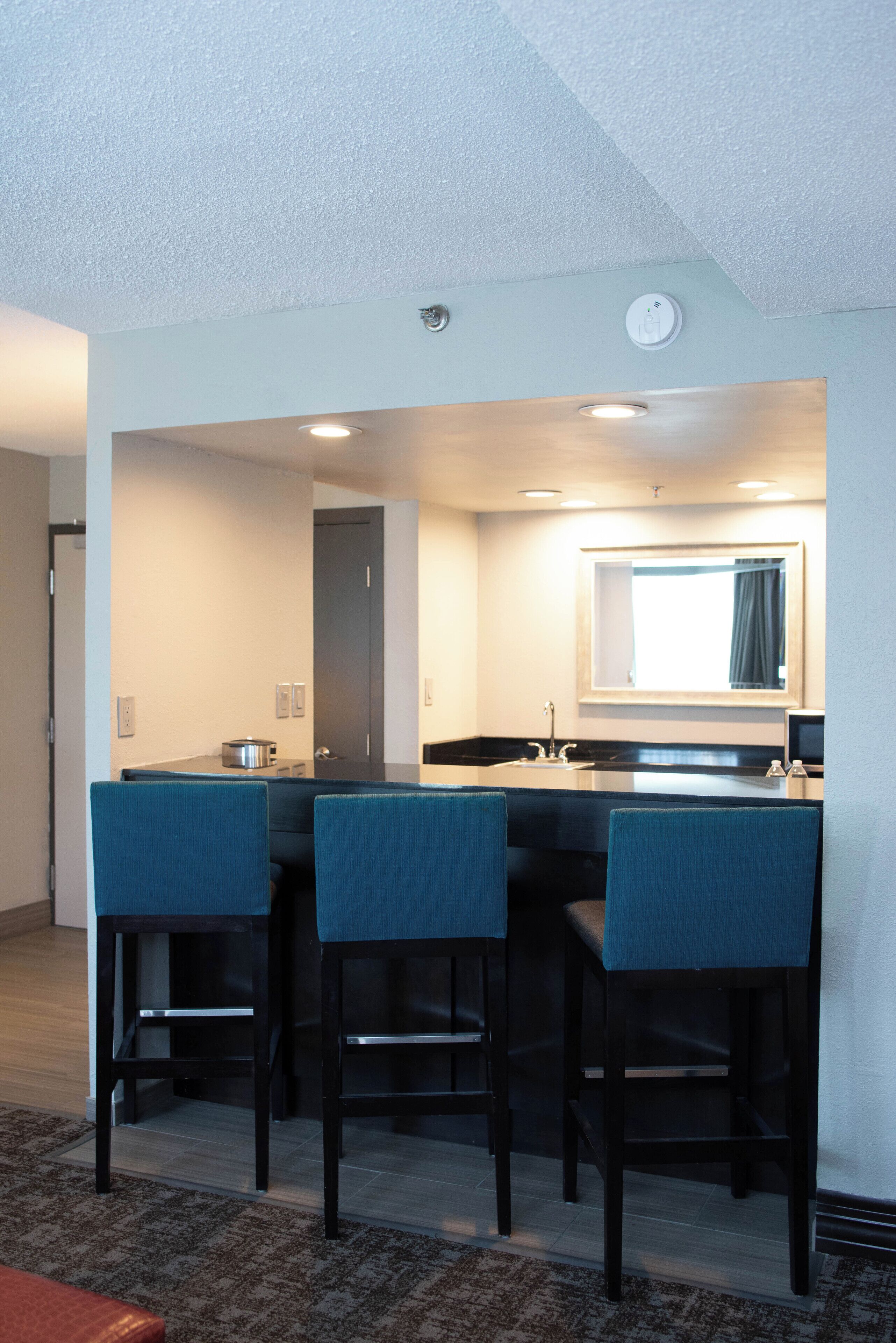 junior suite, 1 king bed with sofa bed | private kitchen | fridge, coffee/tea maker