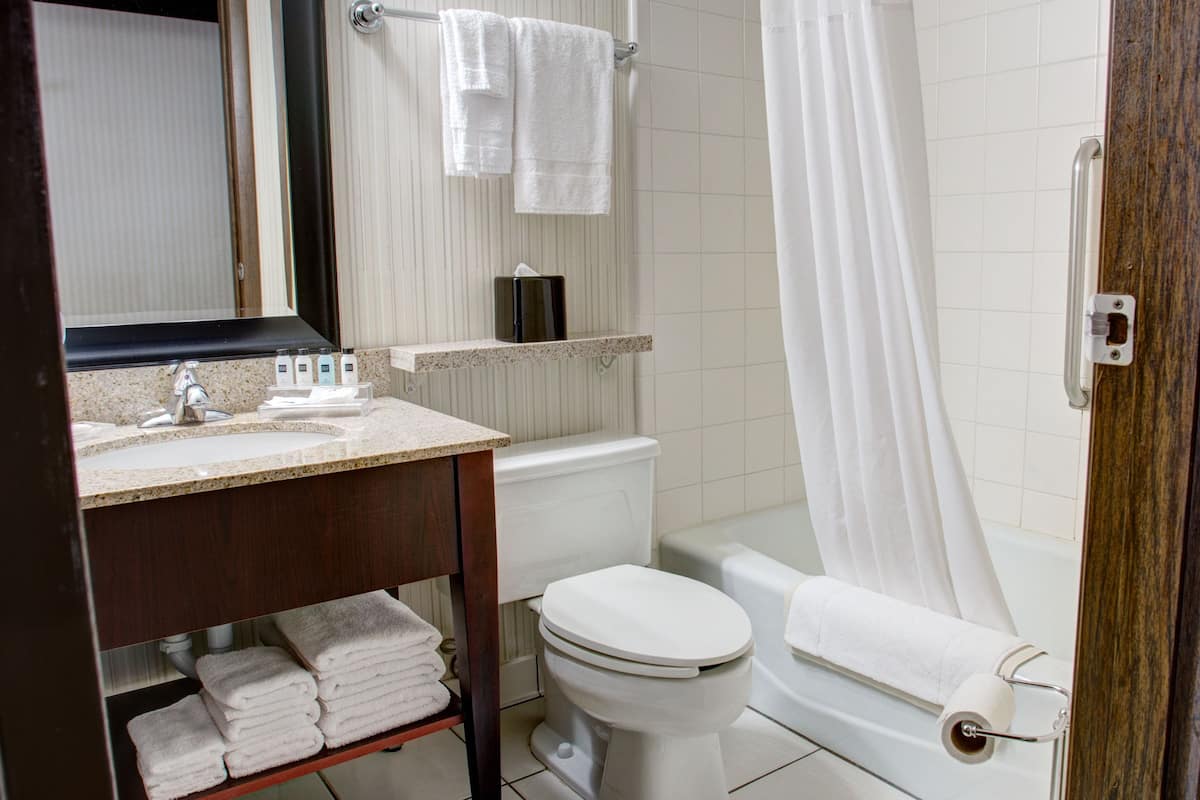 combined shower/bathtub, designer toiletries, hair dryer, towels