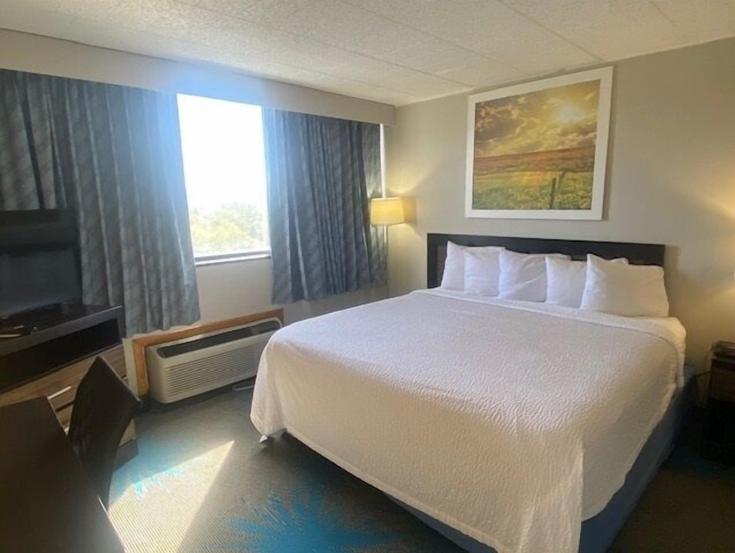 Habitación de hotel con una cama grande, televisor de pantalla plana, escritorio y ventana con cortinas.