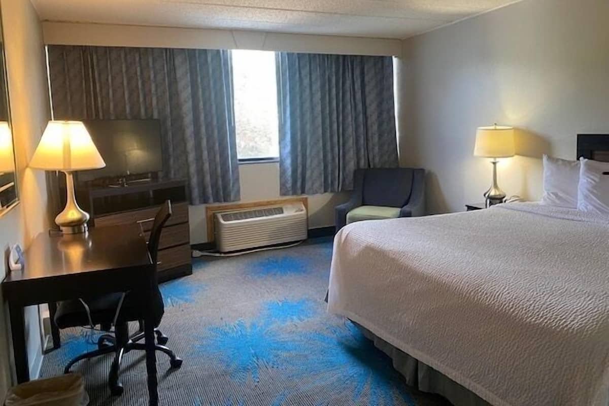 A hotel room with a bed, desk, chair, and a heater.